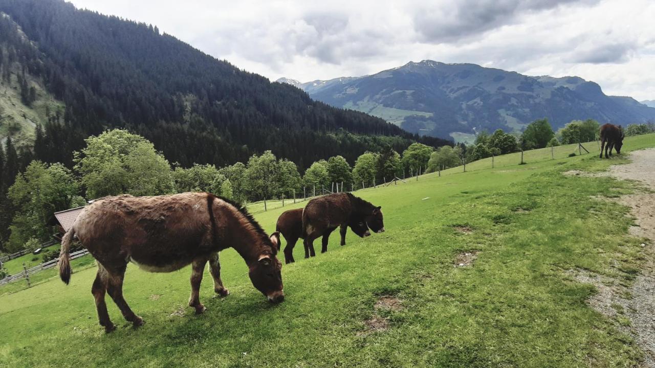 Privatzimmervermietung Foidlbauer Oberndorf in Tirol Exterior foto